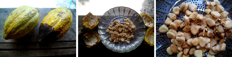 Images of Cacao beans
