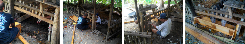 Images of installing wooden feeding trough in pig
            pen