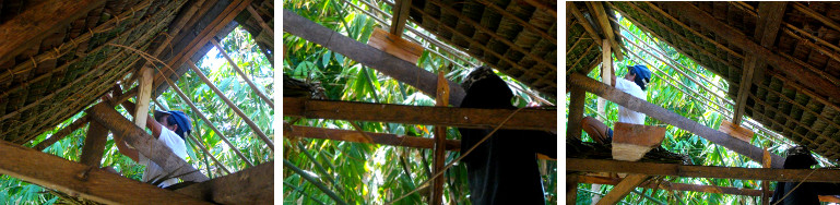 Images of constructing a nipa roof on a wooden pig
            pen