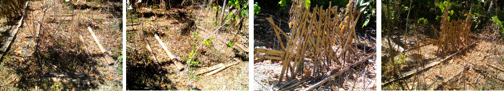 Images of discarded wood in the garden ready for use
            to line borders and as support for climbing plants