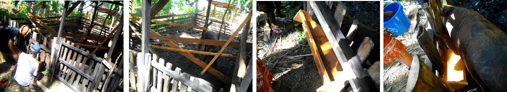 Images of building a wooden feeding trough into a pig
        pen fence
