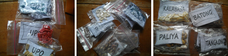 Images of free seeds from Bohol Provinicial Agricultural
        Department