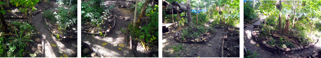 Images of garden path borders tidied up after being
        damaged by escaped pig