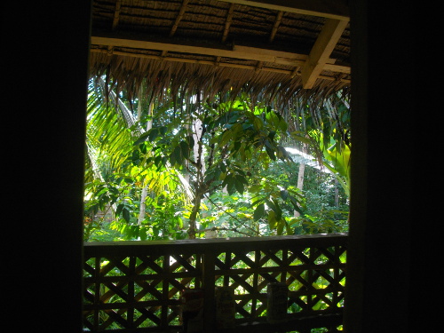 Image of tropical backyard from
        balcony