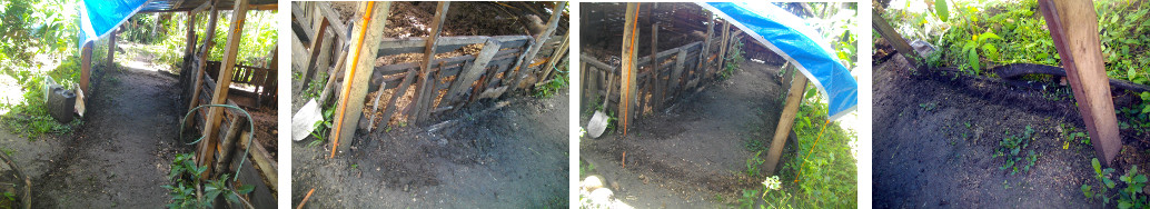 Images of drainage channels around pig pens in tropical
        backyard