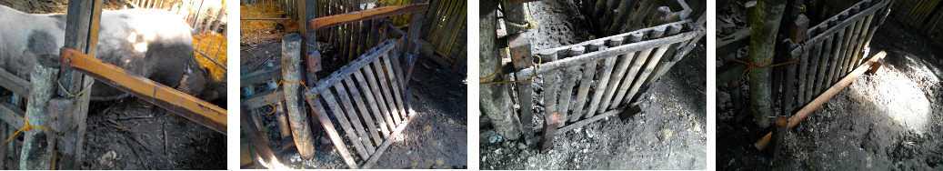 Images of modifications to gate of tropical backyard
        farrowing pen