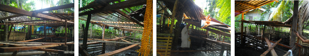 Images of construction of roof for tropical backyard
        piglets pen