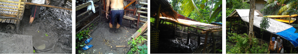 Images of building roof for a tropical backyard piglet
        pen