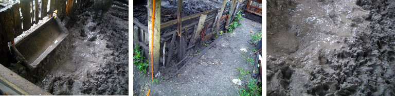 Images of flooded tropical
                backyard pig pen