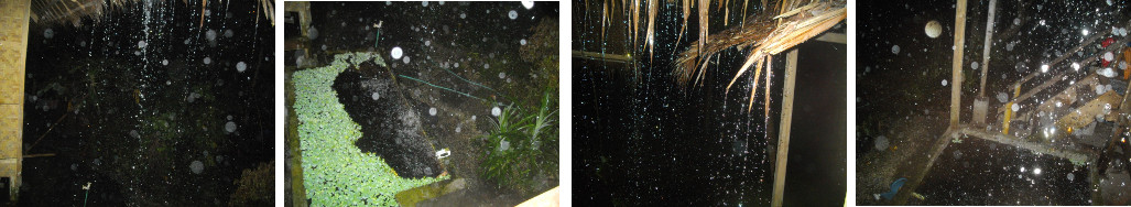 Images of tropical night rain