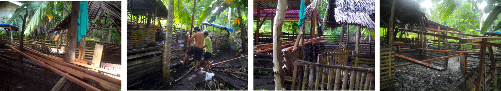 Images of work starting on roof for
        tropical backyard pig pen