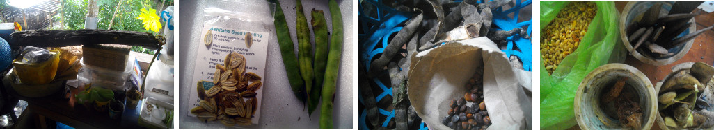 Images of seds collected from -or for
        -a tropical vegetable garden