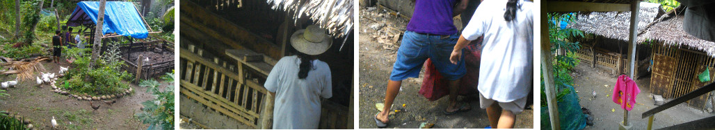 Images of people moving a pig in a poke