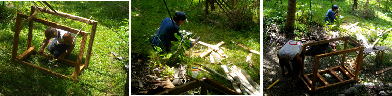 Images of construction of crate for transporting
            pig