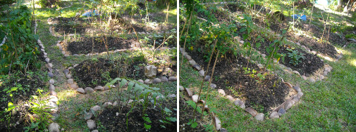 Images of completed drainage Channels around vegetable
          patches