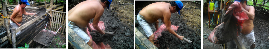 Images of man digging out rotting organic material from
pig pen