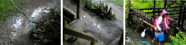 Images of l;ight tropical rain