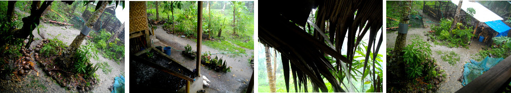 Images of heavy flooding in tropical garden