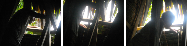 Images of men repairing palm frond
        roof