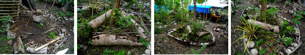 Images of tropical garden patches composted with organic
        material from pig pen