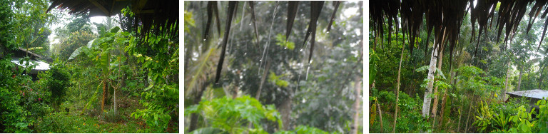 Images of heavy tropical rain