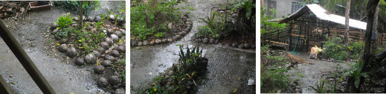 Images of heavy tropical rain