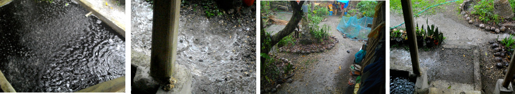 Images of heavy tropical rain