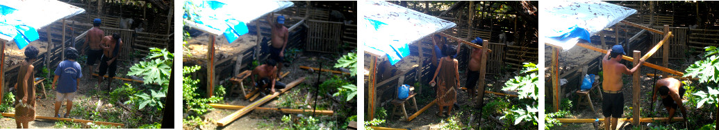 Images of constructing a temporary extenstion to pig's
        farrowing pen roof