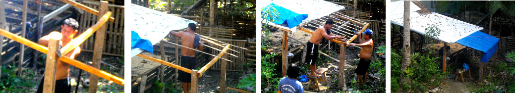 I(mages of men building temporary extension to pig
          farrowing pen roof