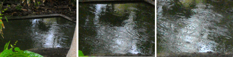 Images of light tropical rain