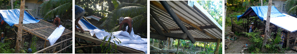 Images of tarpauline being placed on pig pen roof