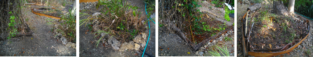 Images of trapical garden patches after
        tidying up borders