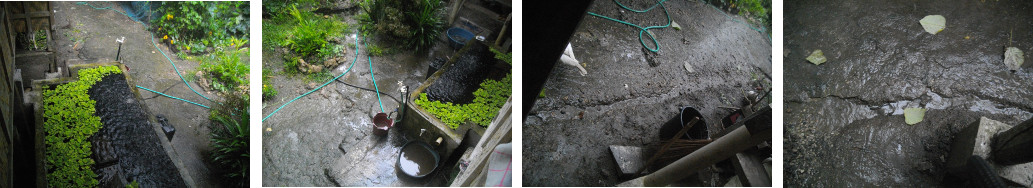 Images of drainage channel for rain run-off in tropical
        backyard