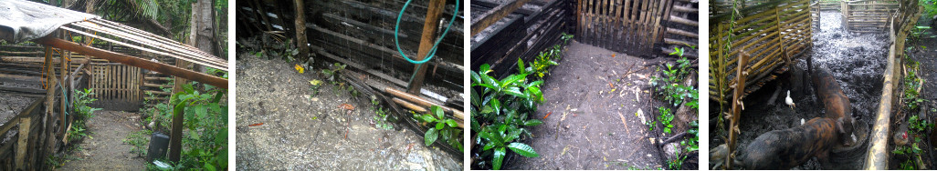 Images of flooding in tropical backyard animal pen