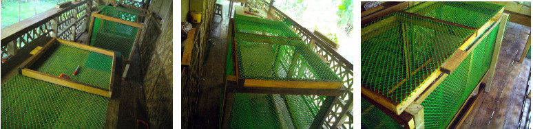 Images of duck coop under construction
        on tropical balcony