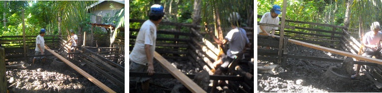 Images of tropical backyard pig pens
        being repaired