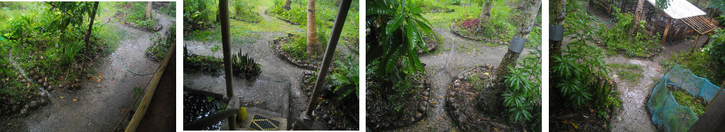 Images of tropical rain