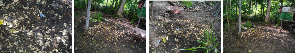 Images of subsidence on a Boar's grave in a tropical
        garden