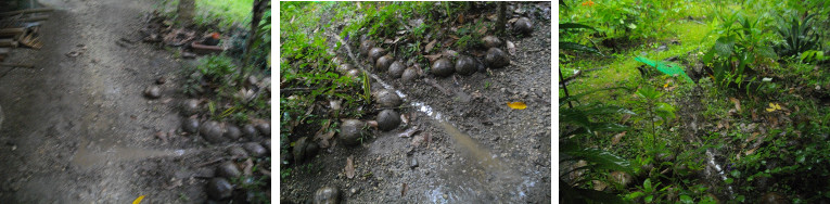 Images of emnergency drainage channel to prevent
        flooding in tropcal garden