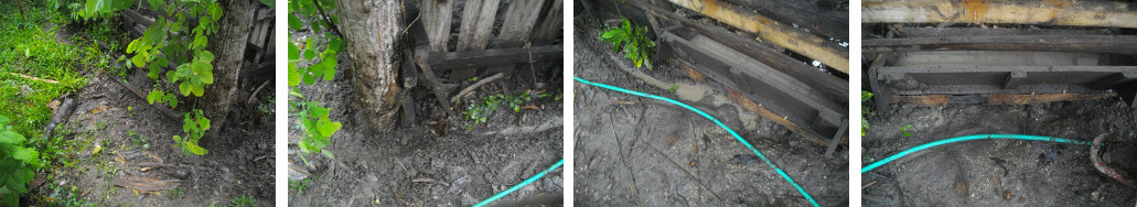 Images of emergency drainage channel to prevent flooding
        in tropical garden