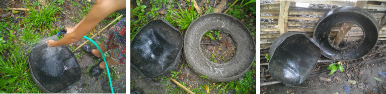 Images of piglets water and food bowls
        being cleaned