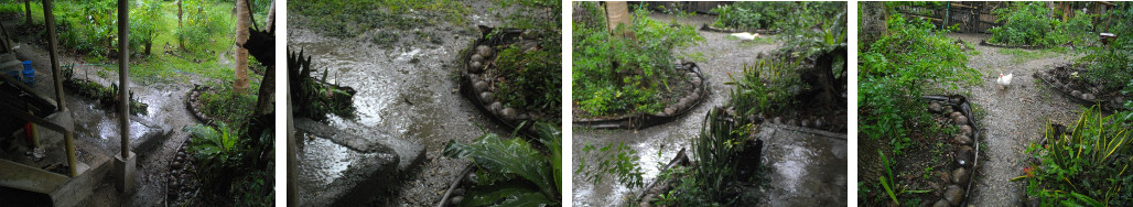 Ijmages of heavy tropical rain