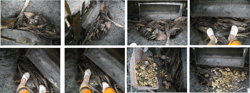 Images of organic materisal and stones being used to
        fill holes dug by pig in tropical backyard pen