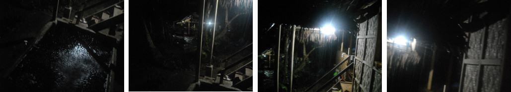 Images of nighttime tropical rain