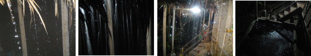 Images of tropical rain at night
