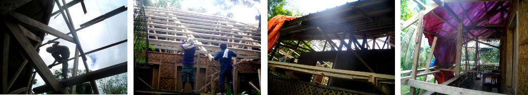 Imags of workmen changing roof on
        tropical house