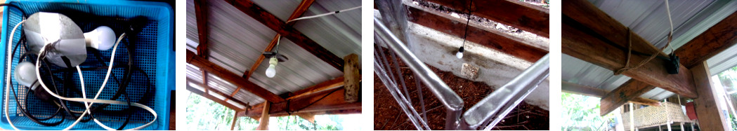 IMages of lighting in tropical
        backyard Farrowing Pen