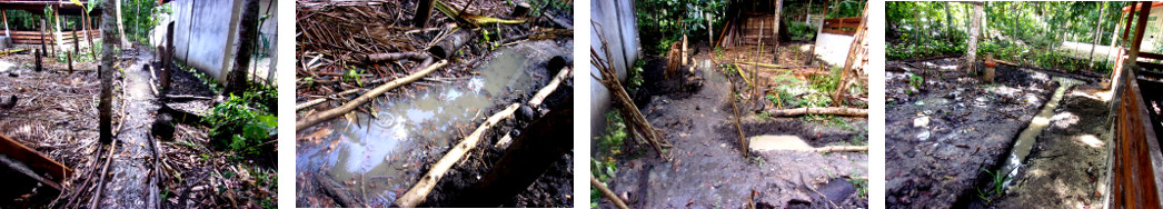 Images of flooding in tropical backyard garden