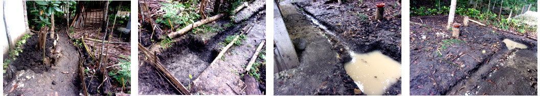 Images of tropical backyard flooding
        receding