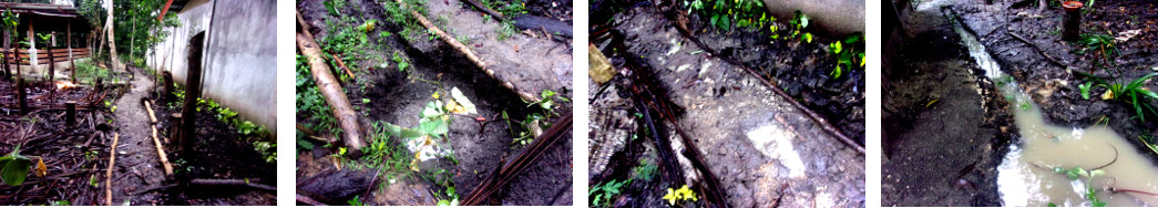 Images of tropical backyard drainage
        after days of rain